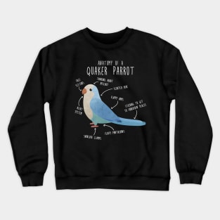 Blue Quaker Anatomy Crewneck Sweatshirt